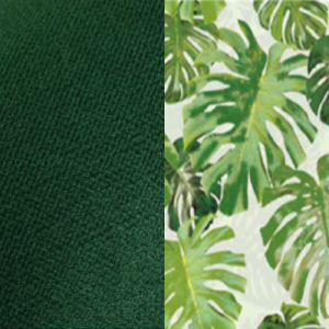 Kronos 19 / Jungle 32