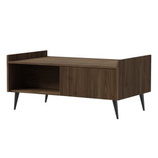 TV-Schrank mit 2 Klapptüren 120 cm AMFALI